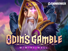 Wild spinner new online casino kingcasinobonus78